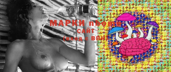 мдпв Абаза