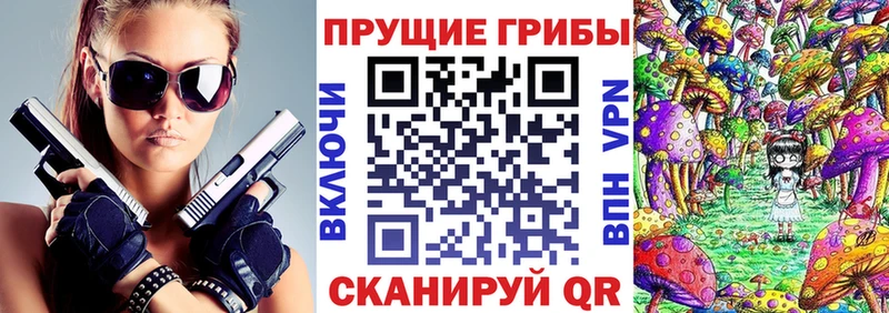 Псилоцибиновые грибы MAGIC MUSHROOMS  цены наркотик  Ростов-на-Дону 